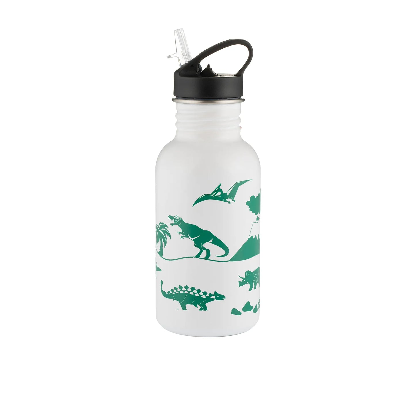 Dinosaur Colour Change stainless steel Water Bottle 550ml