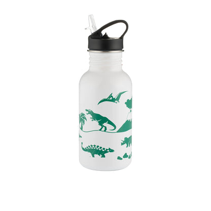Dinosaur Colour Change stainless steel Water Bottle 550ml